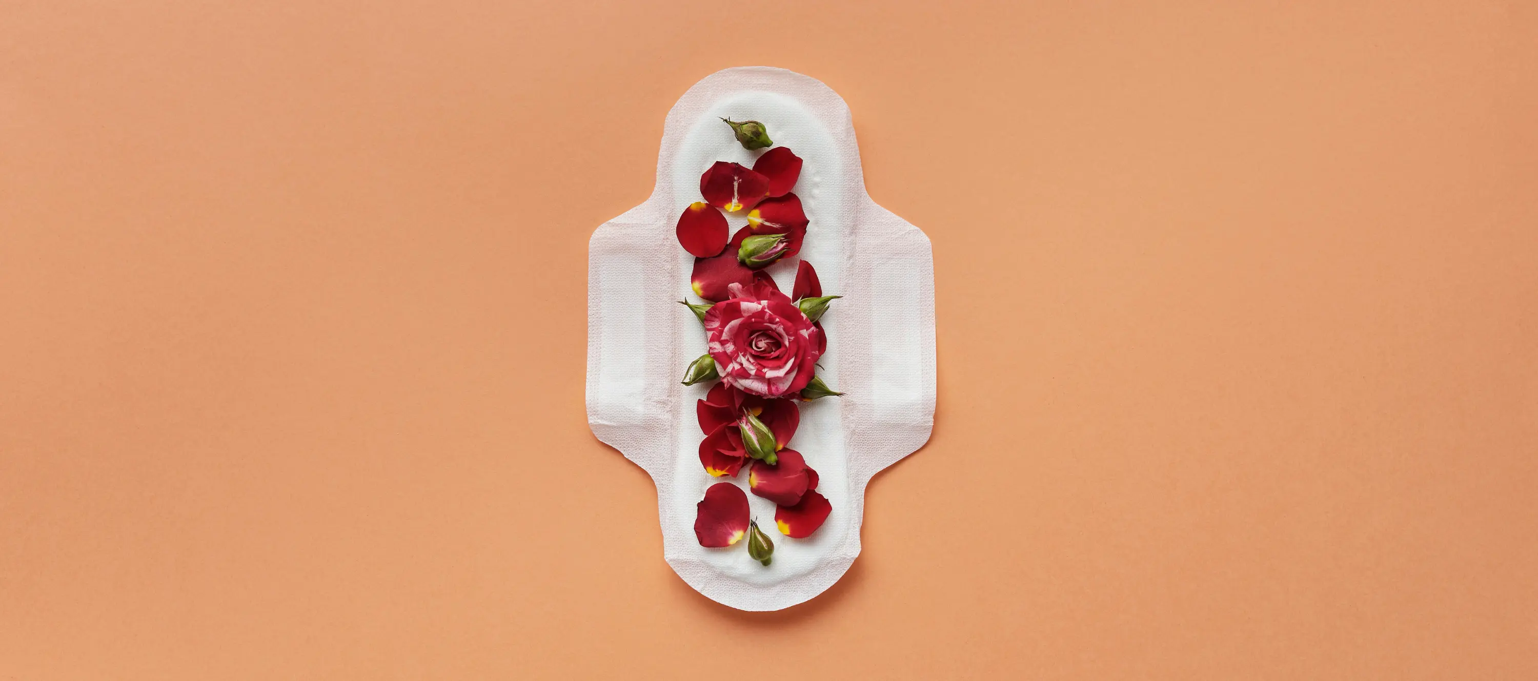 Vibrant cycle-syncing breakfast bowl on a cream backdrop